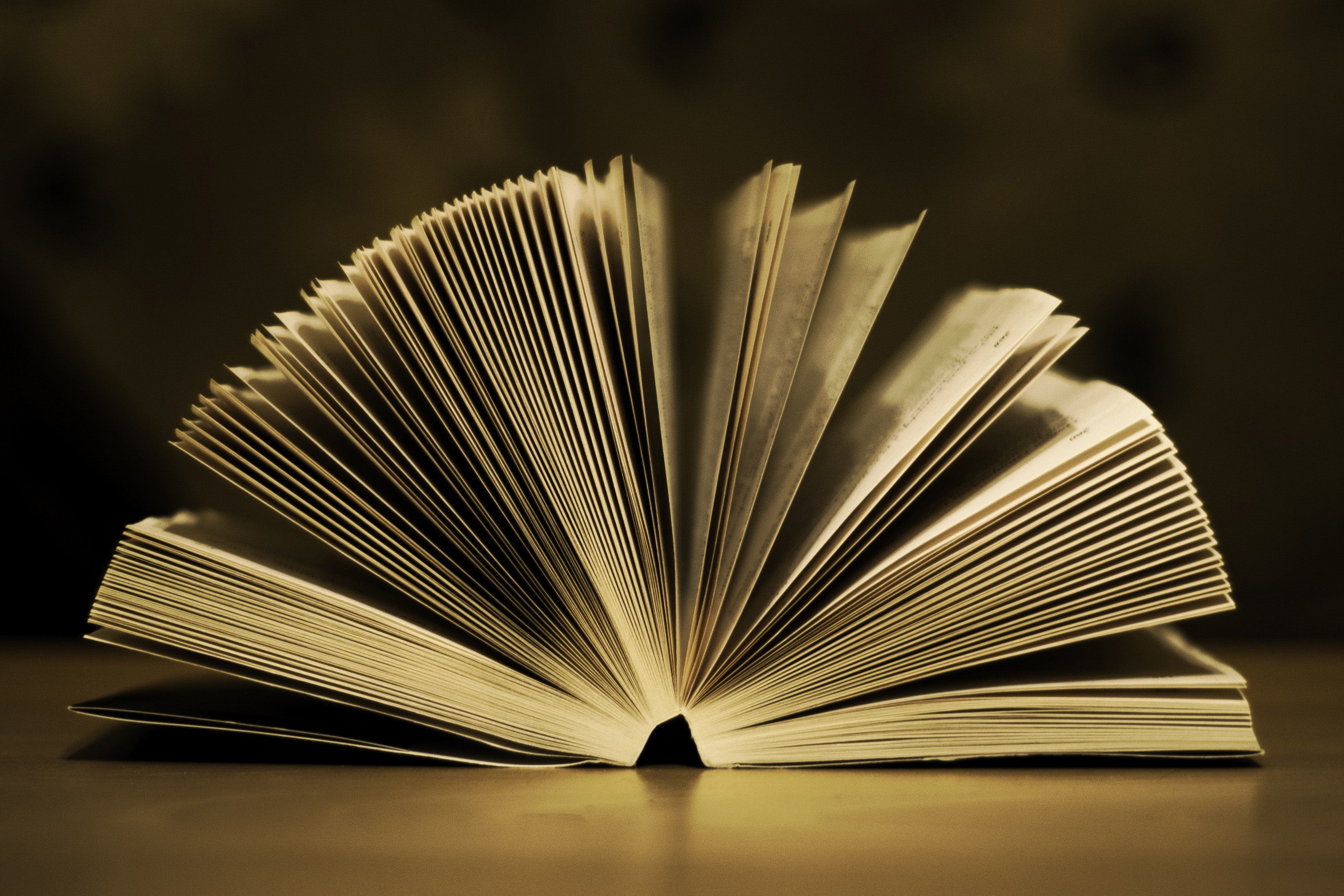 Open Book Pages Free Stock Photo  © Tookapic 