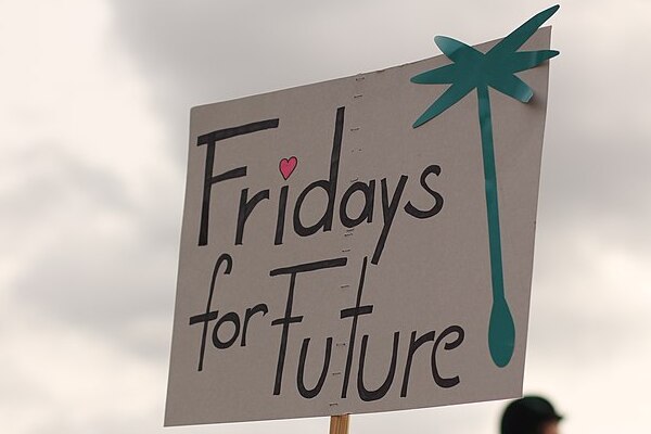 Fridays for future Wien  © CC-Zero 
