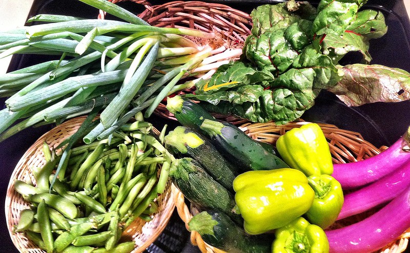 Clagett Farm Share July 9 2011, CC BY 2.0, by Flickr  © F Delventhal 